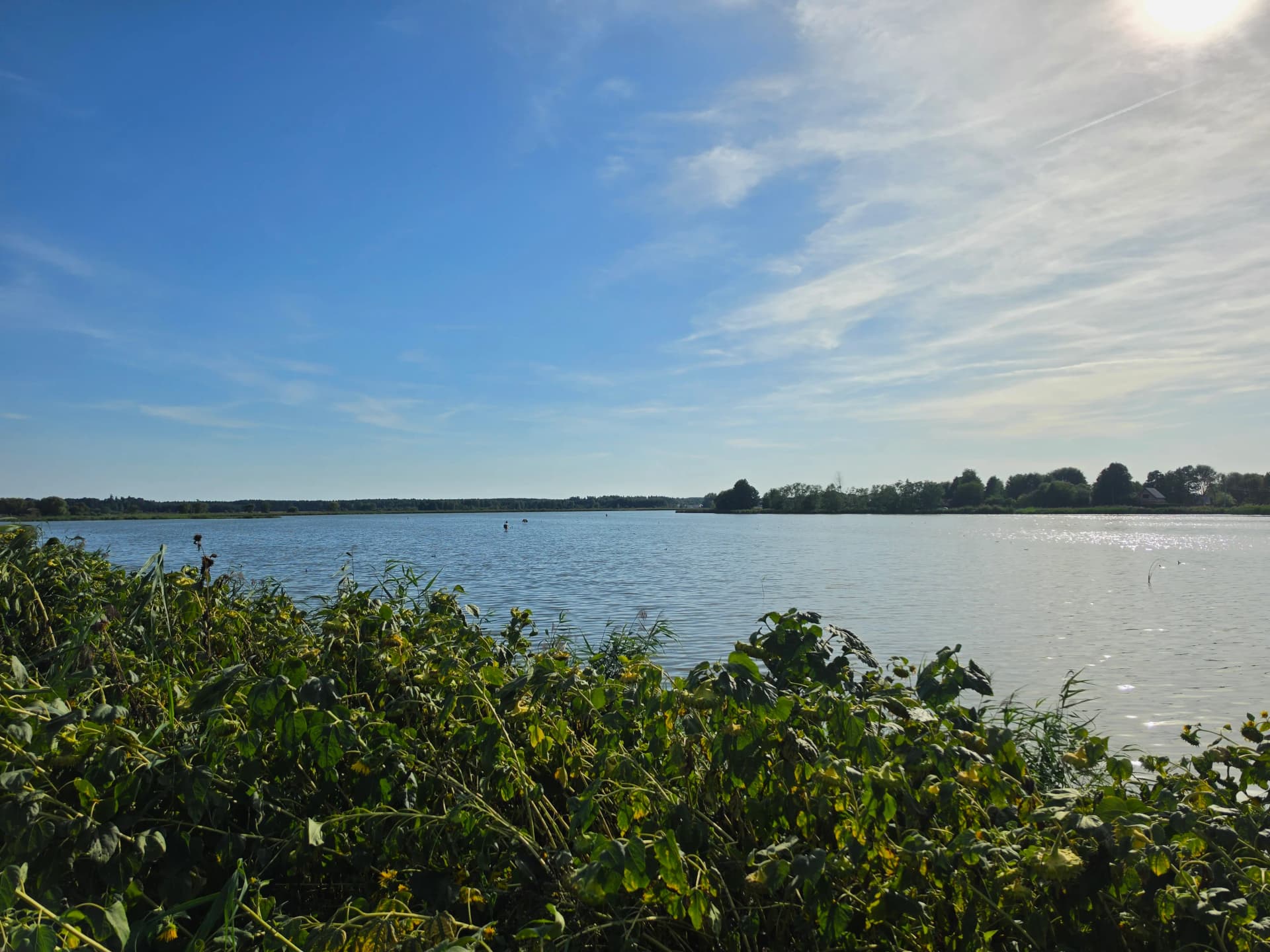 Zdjęcie 15