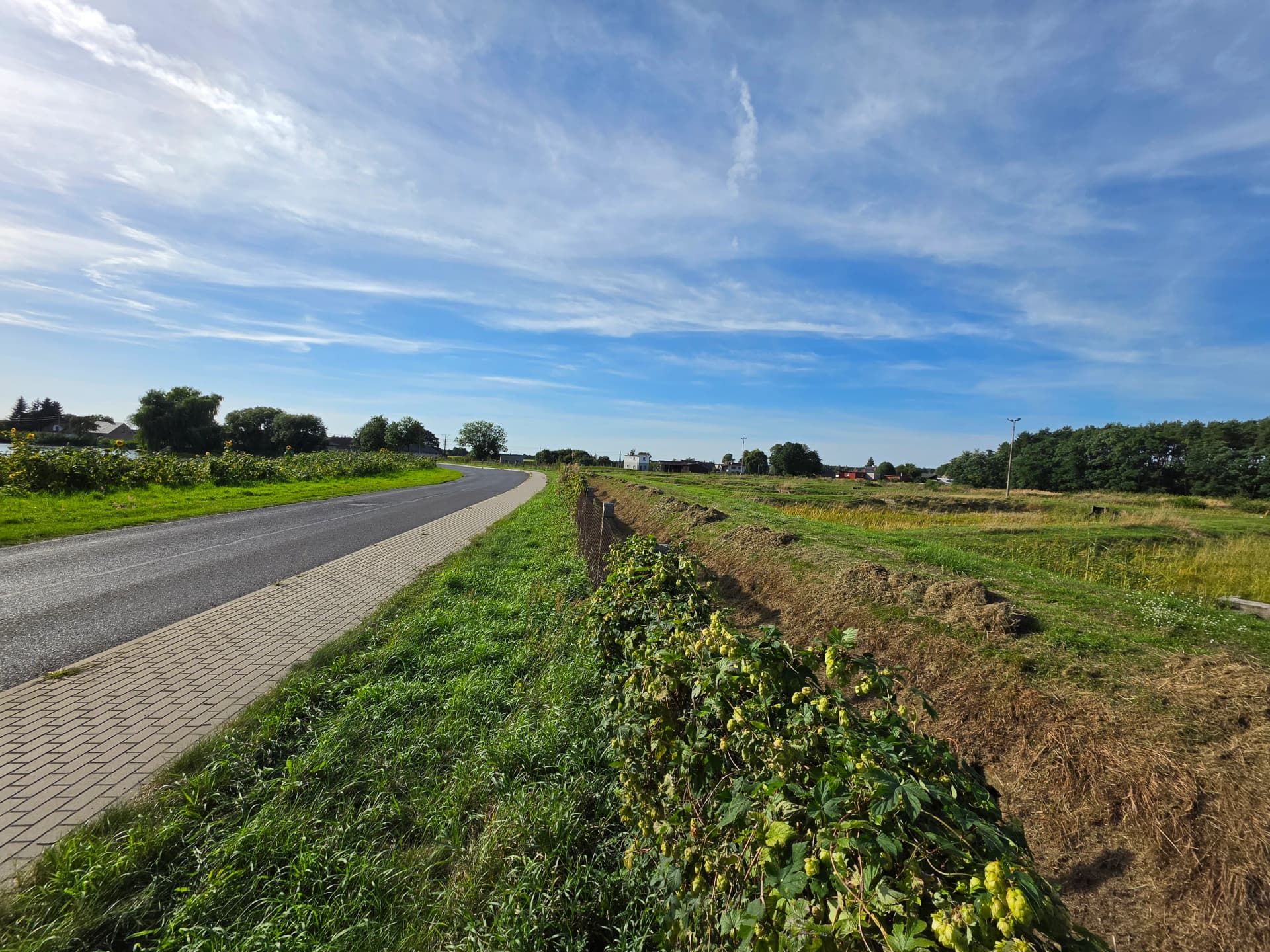 Zdjęcie 11