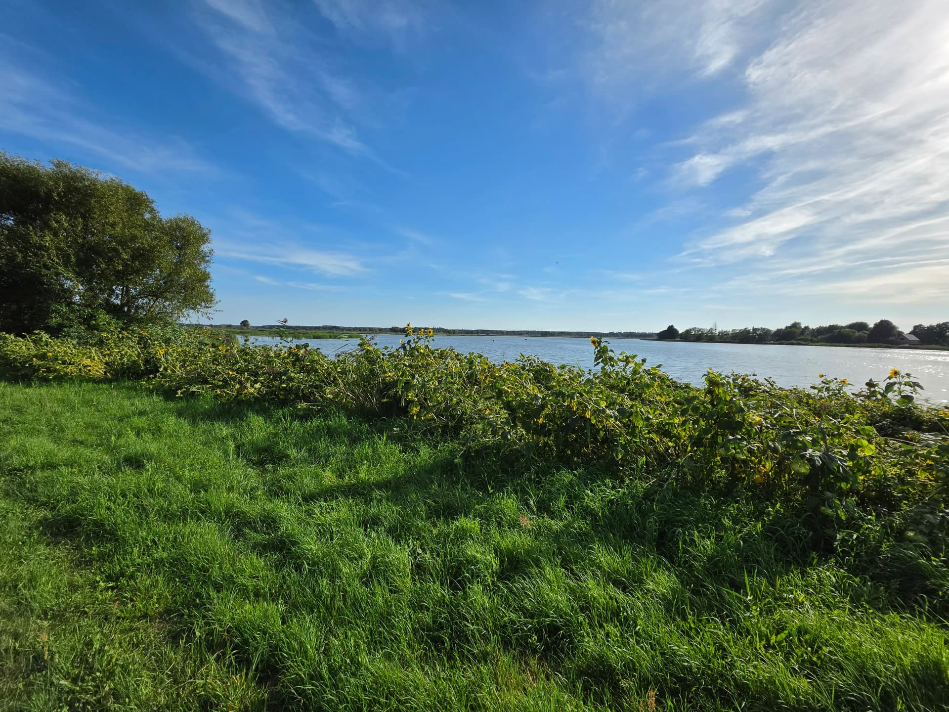 Zdjęcie 19