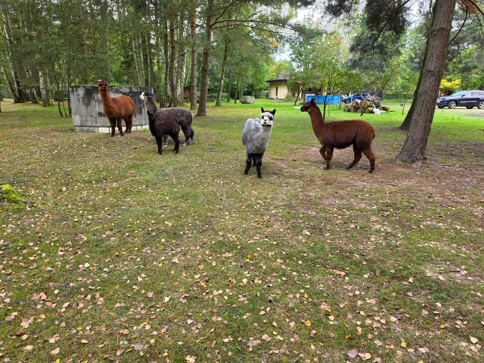 Zdjęcie 4