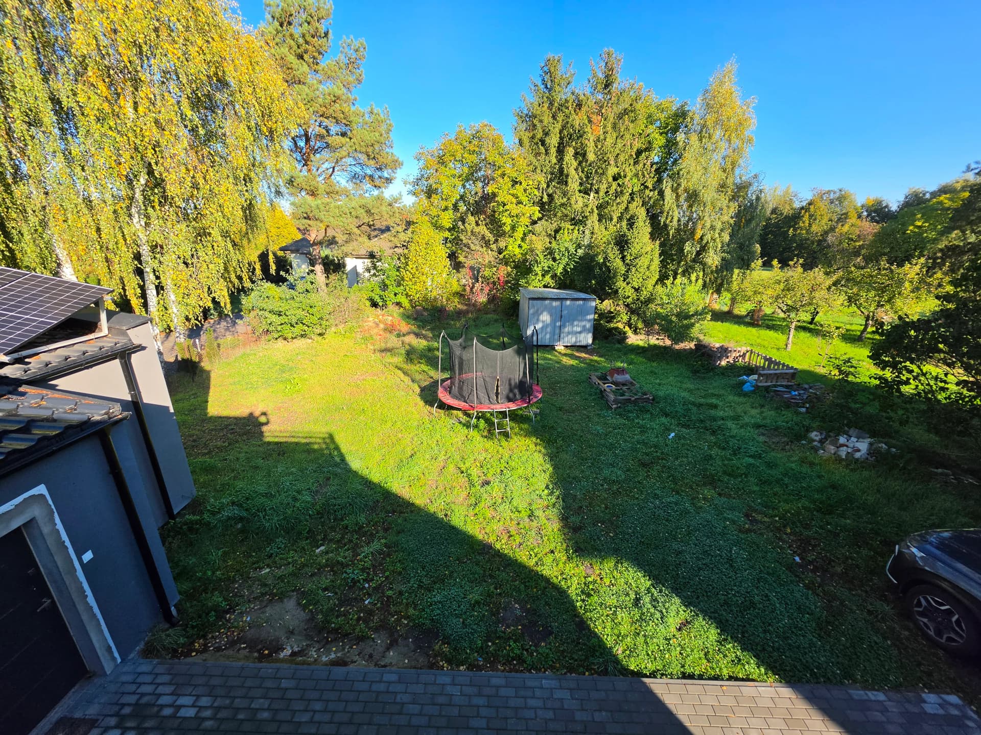 Zdjęcie 12