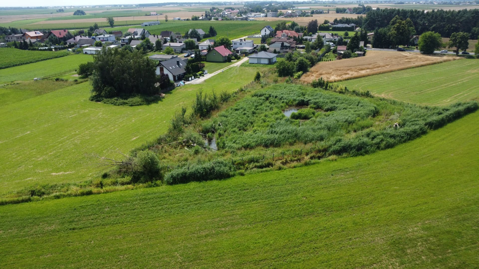 Zdjęcie 3