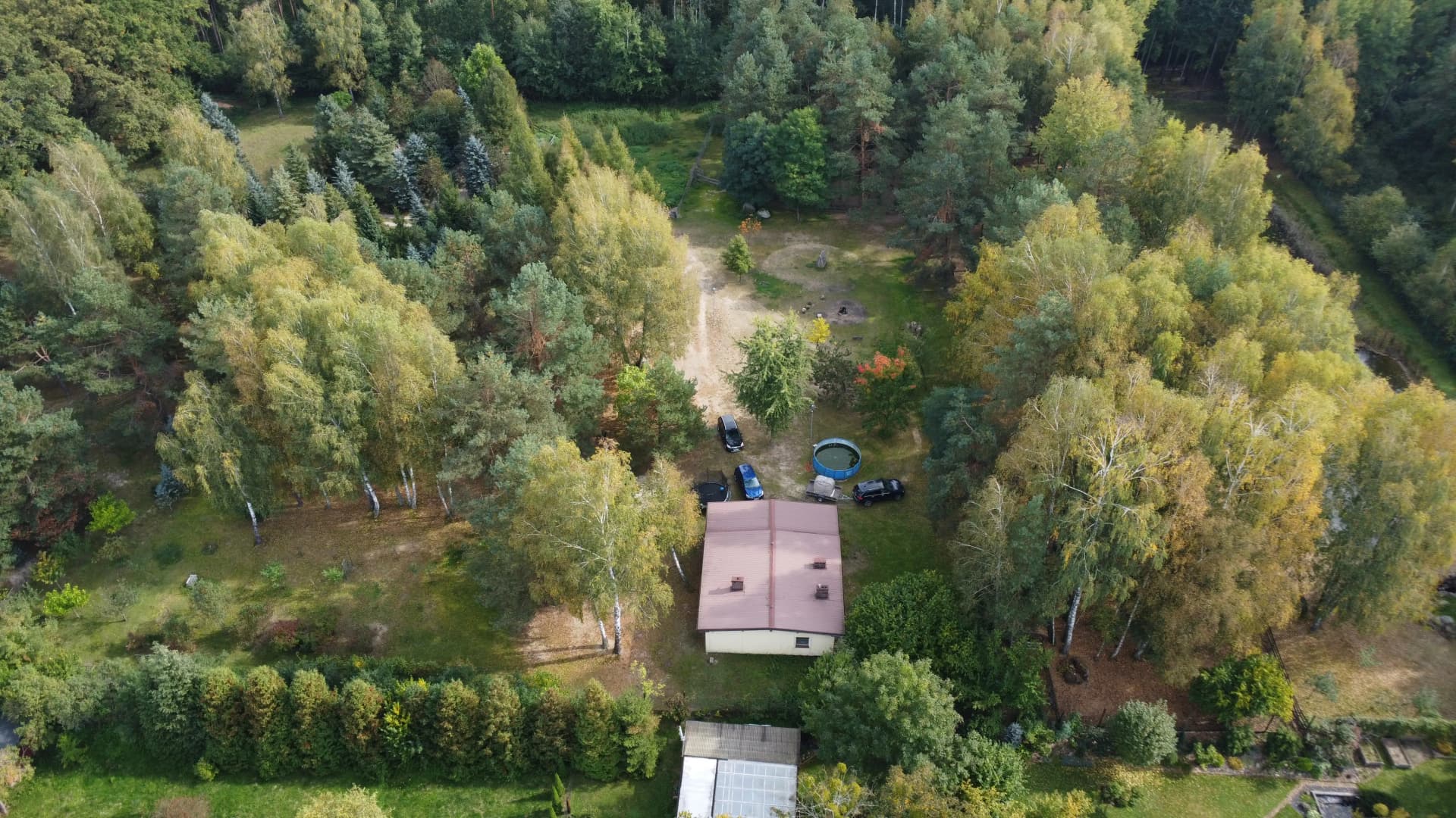 Zdjęcie 12