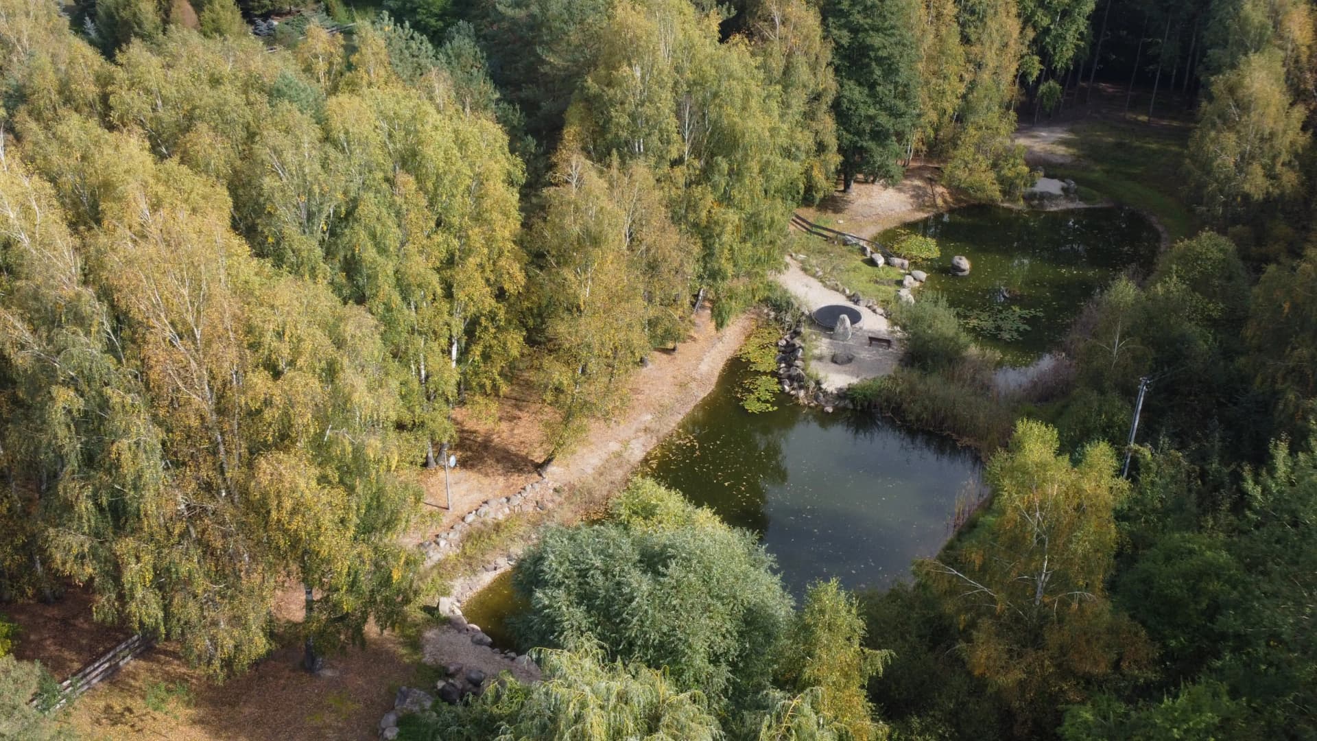 Zdjęcie 17