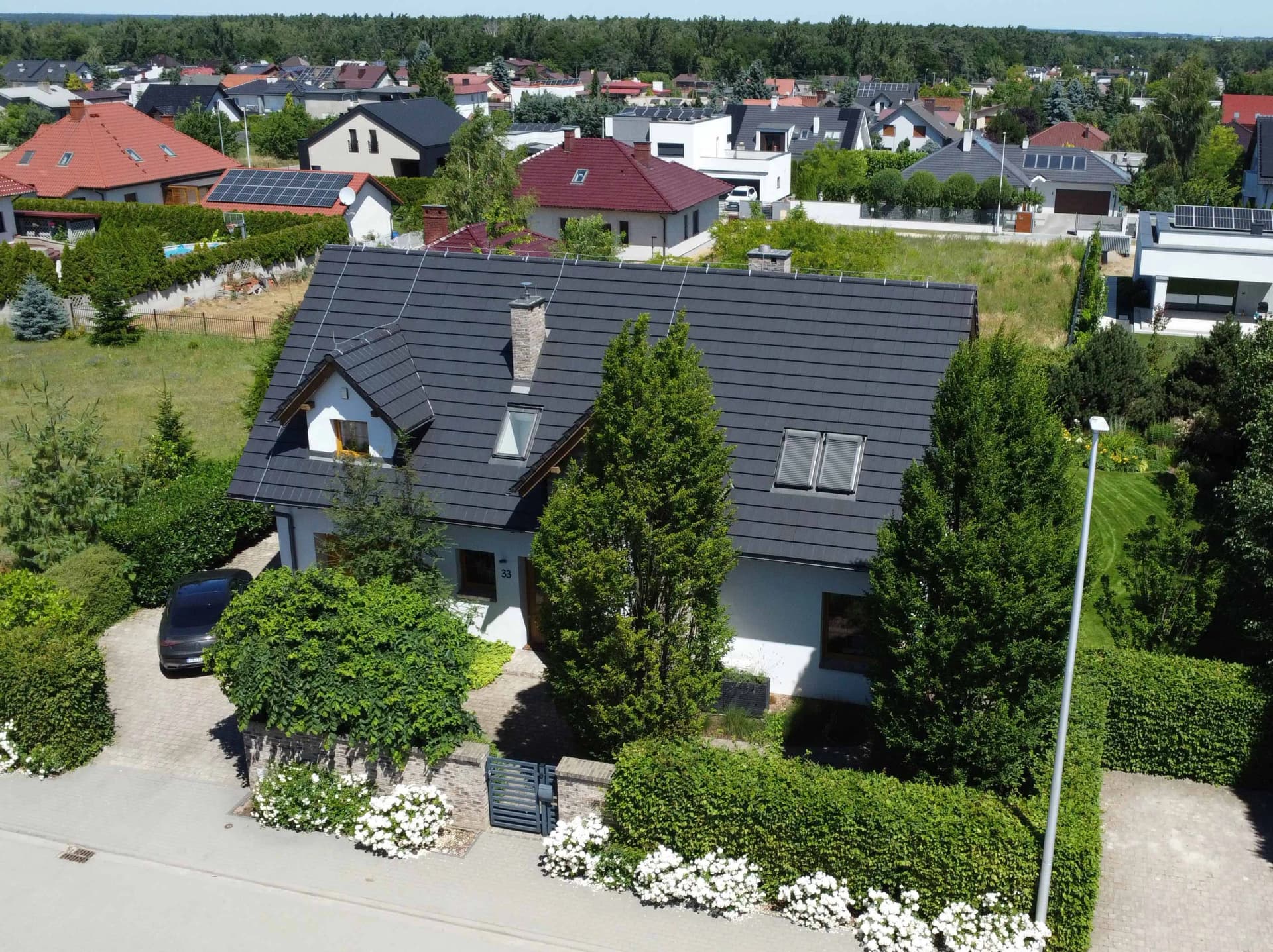 Zdjęcie 11