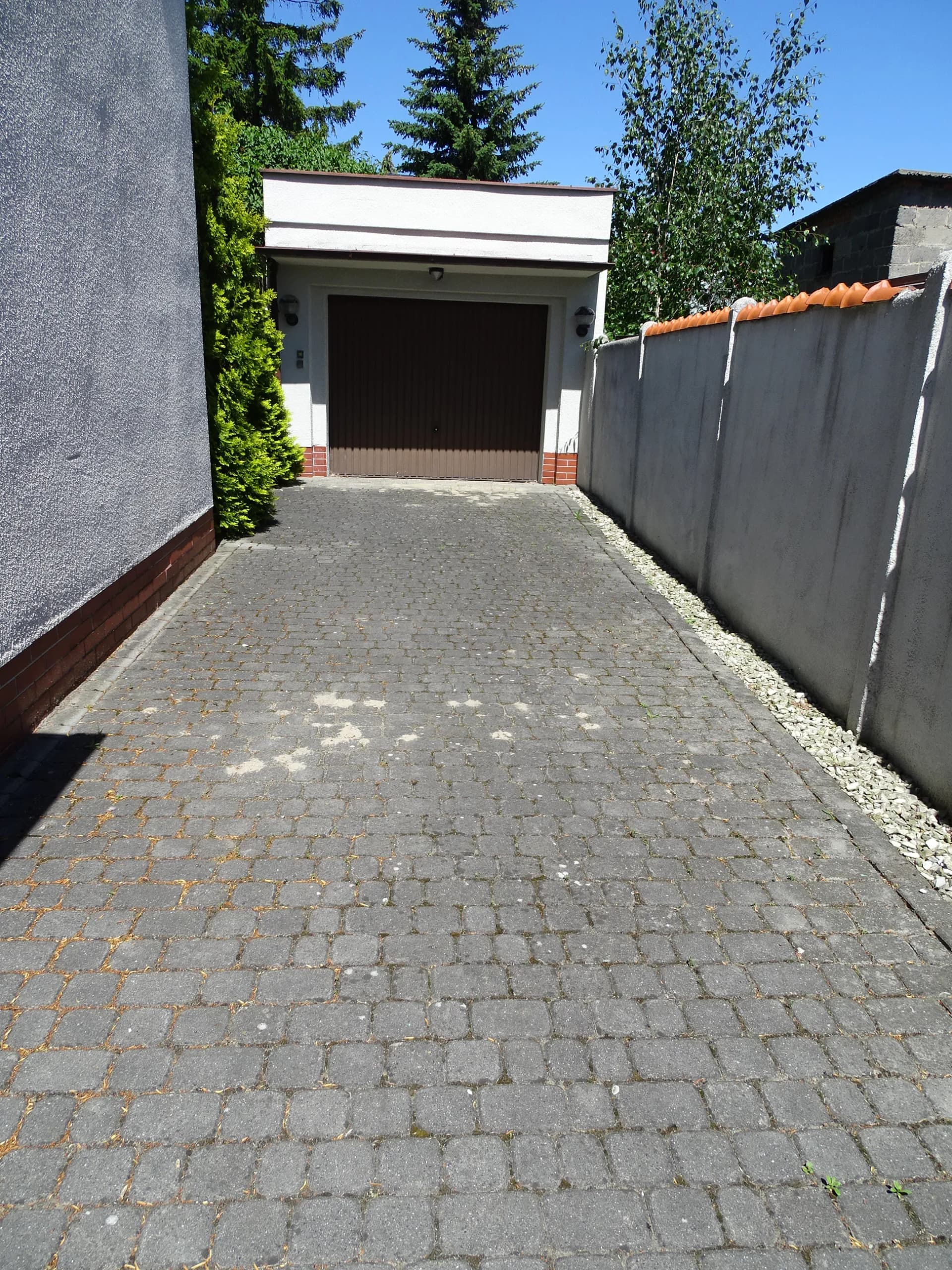 Zdjęcie 8