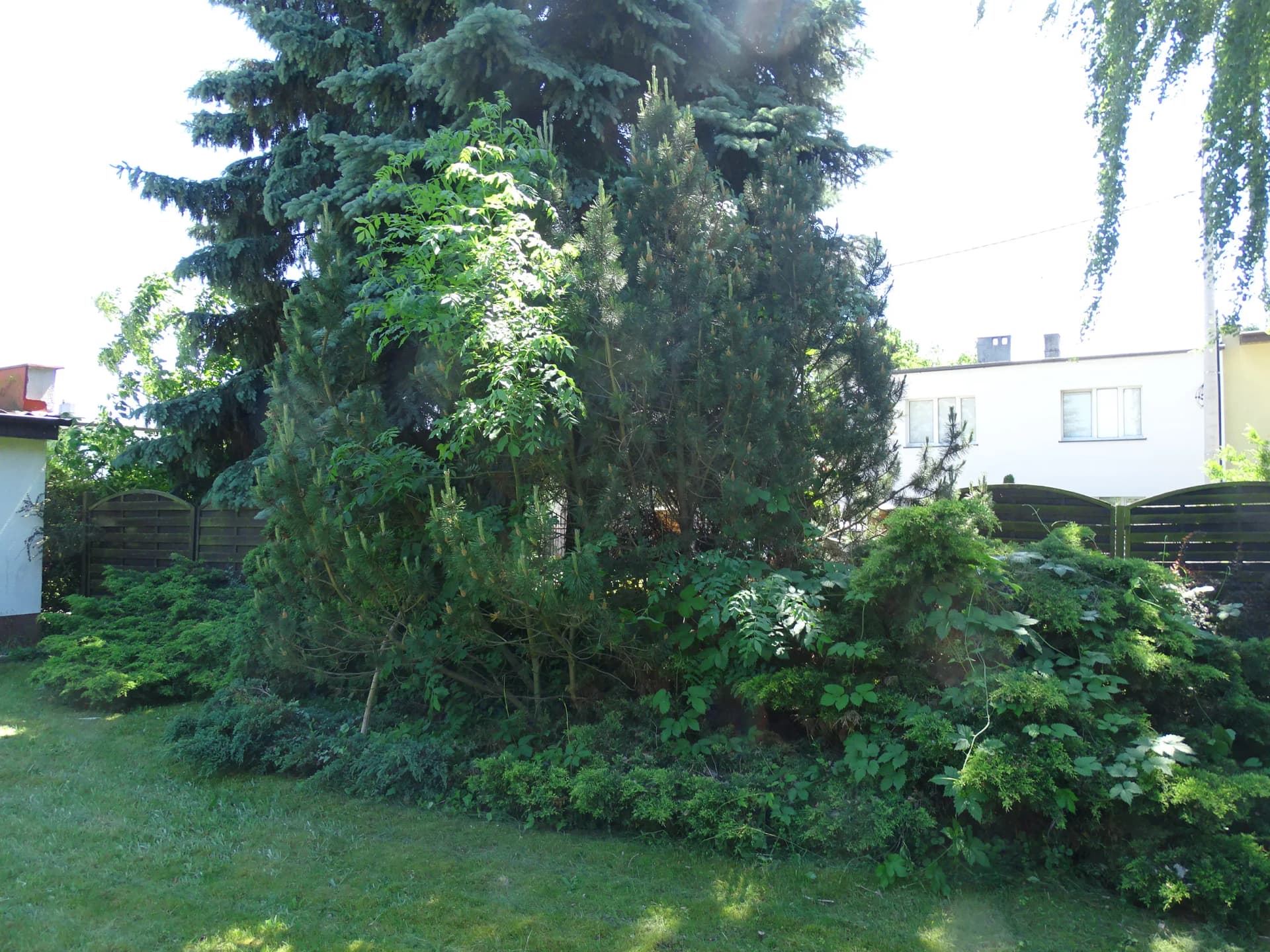 Zdjęcie 32
