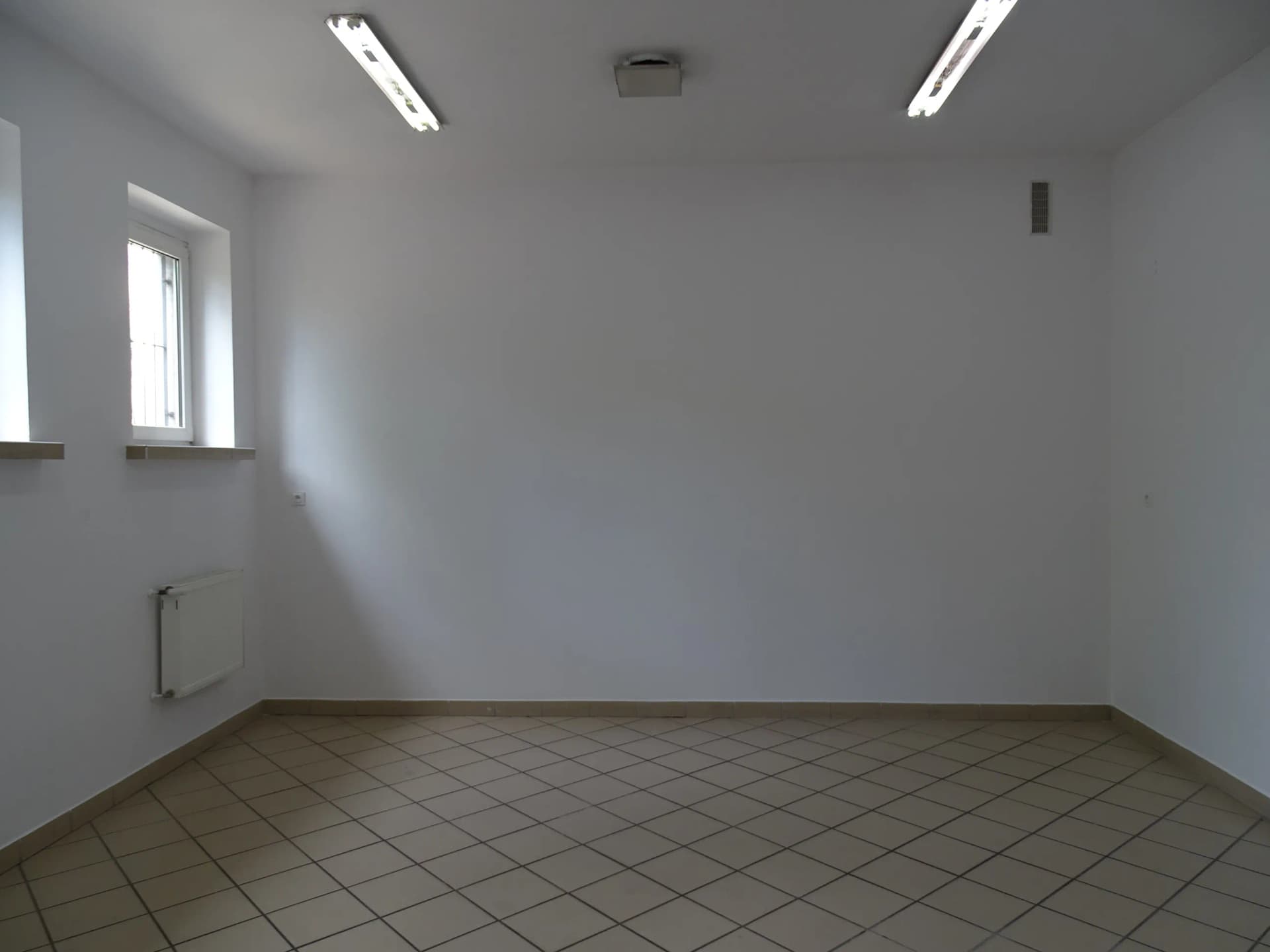 Zdjęcie 8