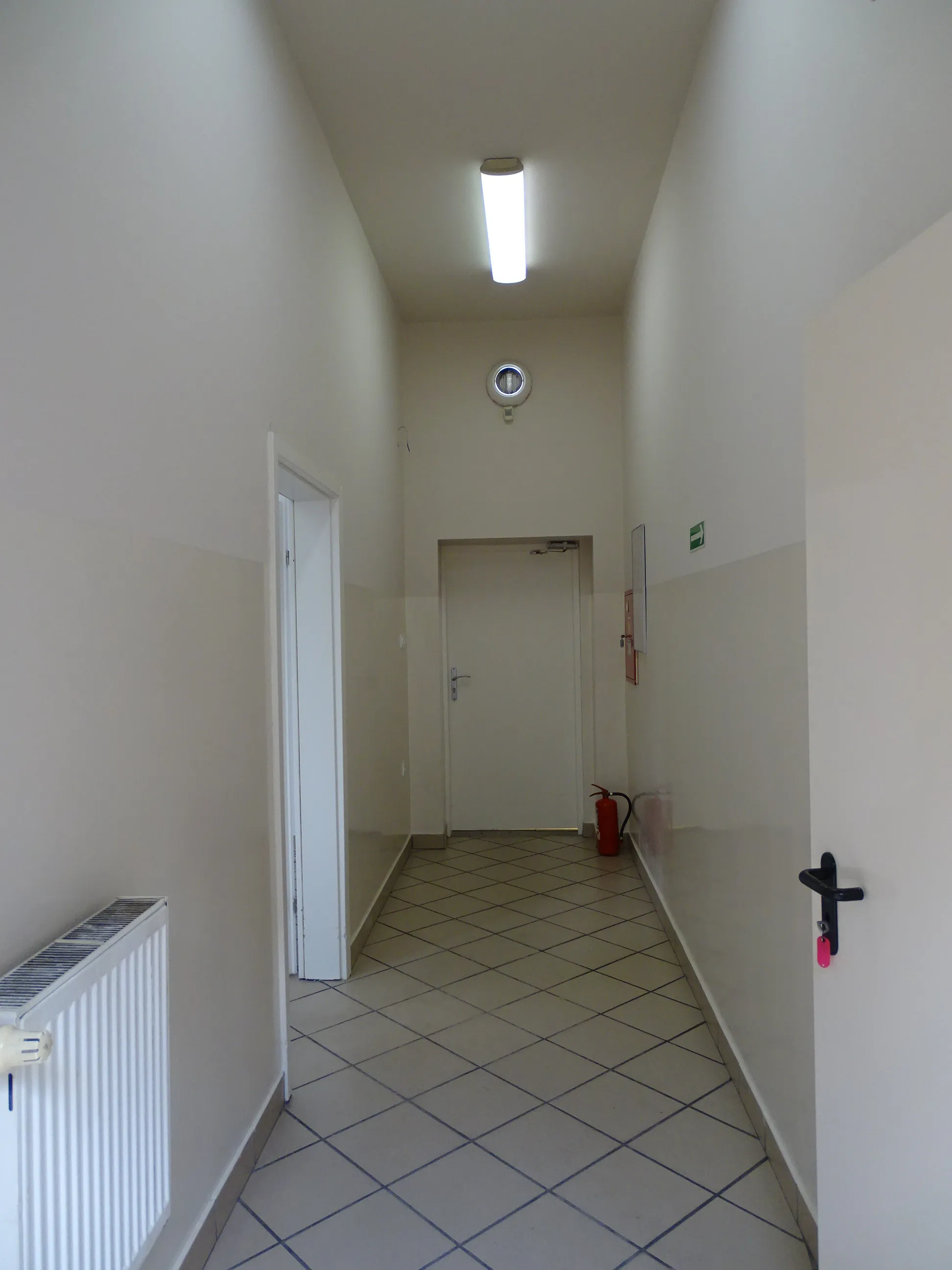 Zdjęcie 10