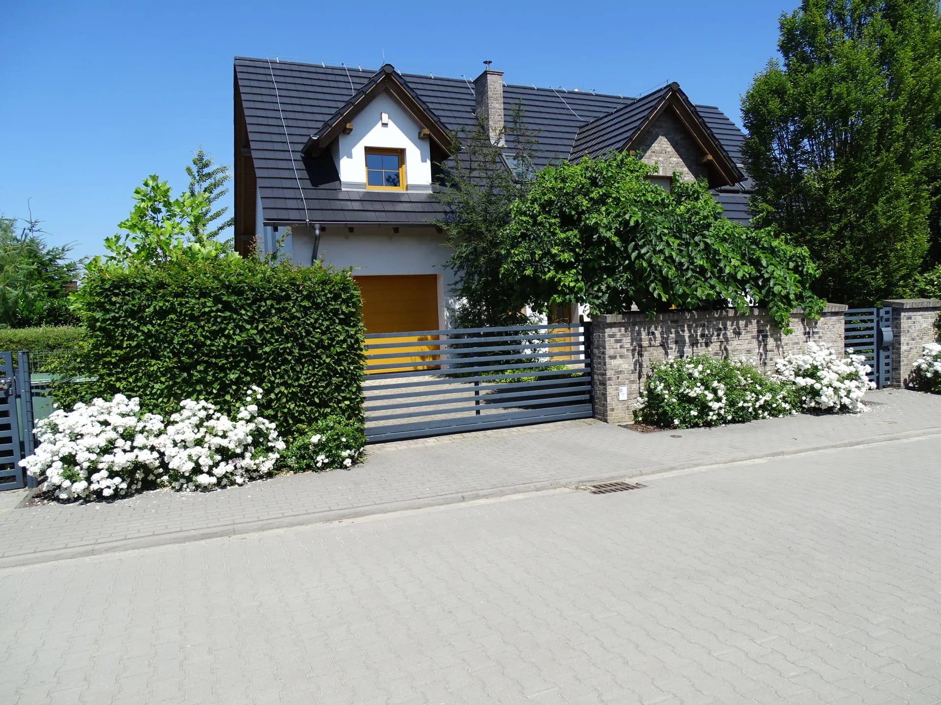 Zdjęcie 22