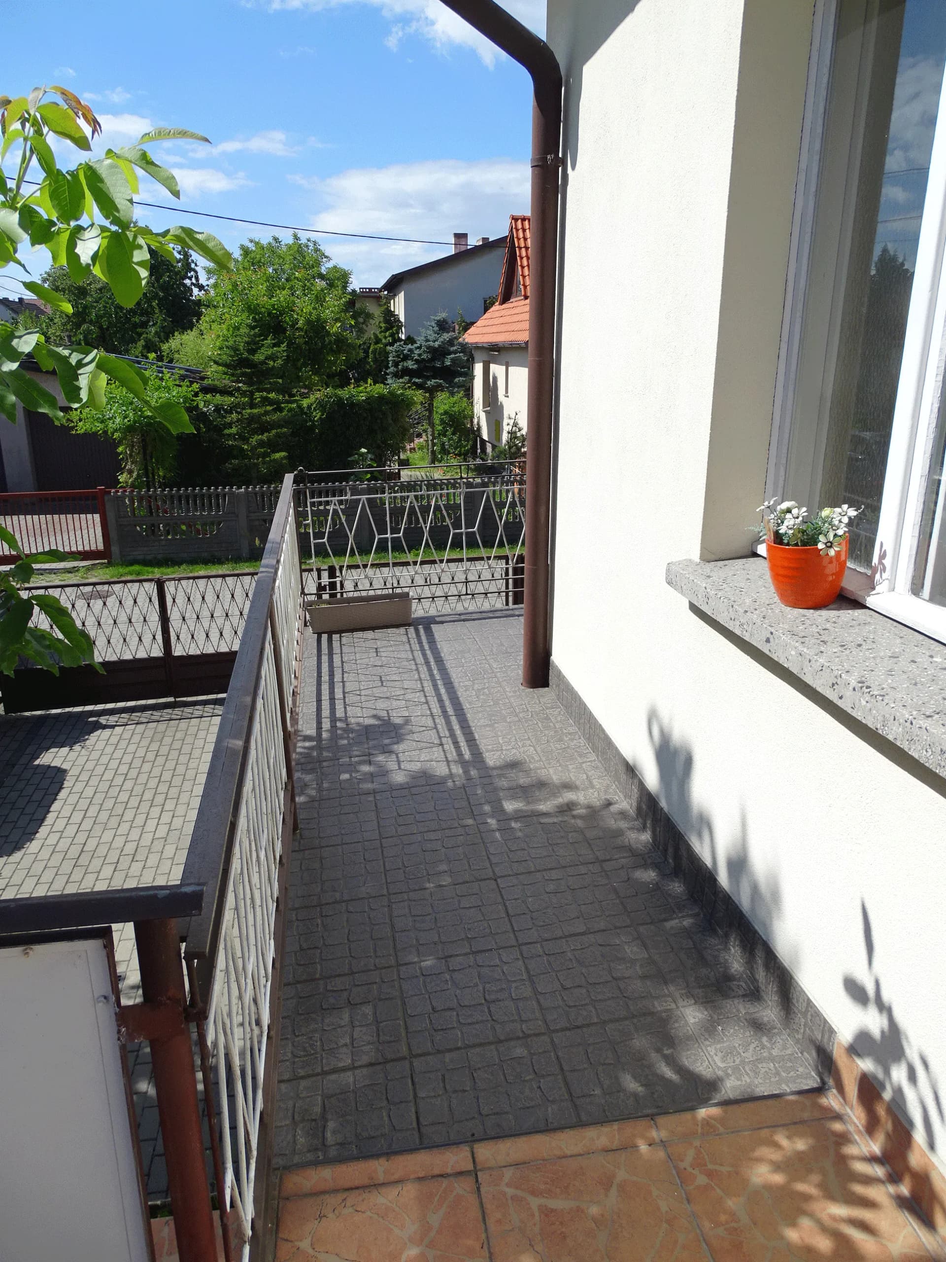 Zdjęcie 12