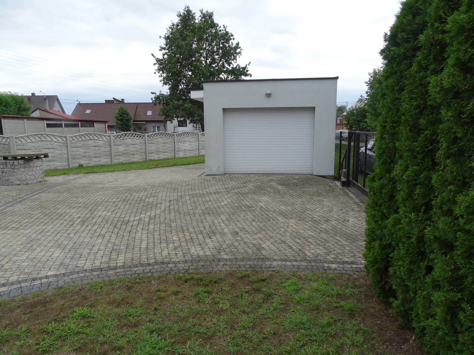 Zdjęcie 29