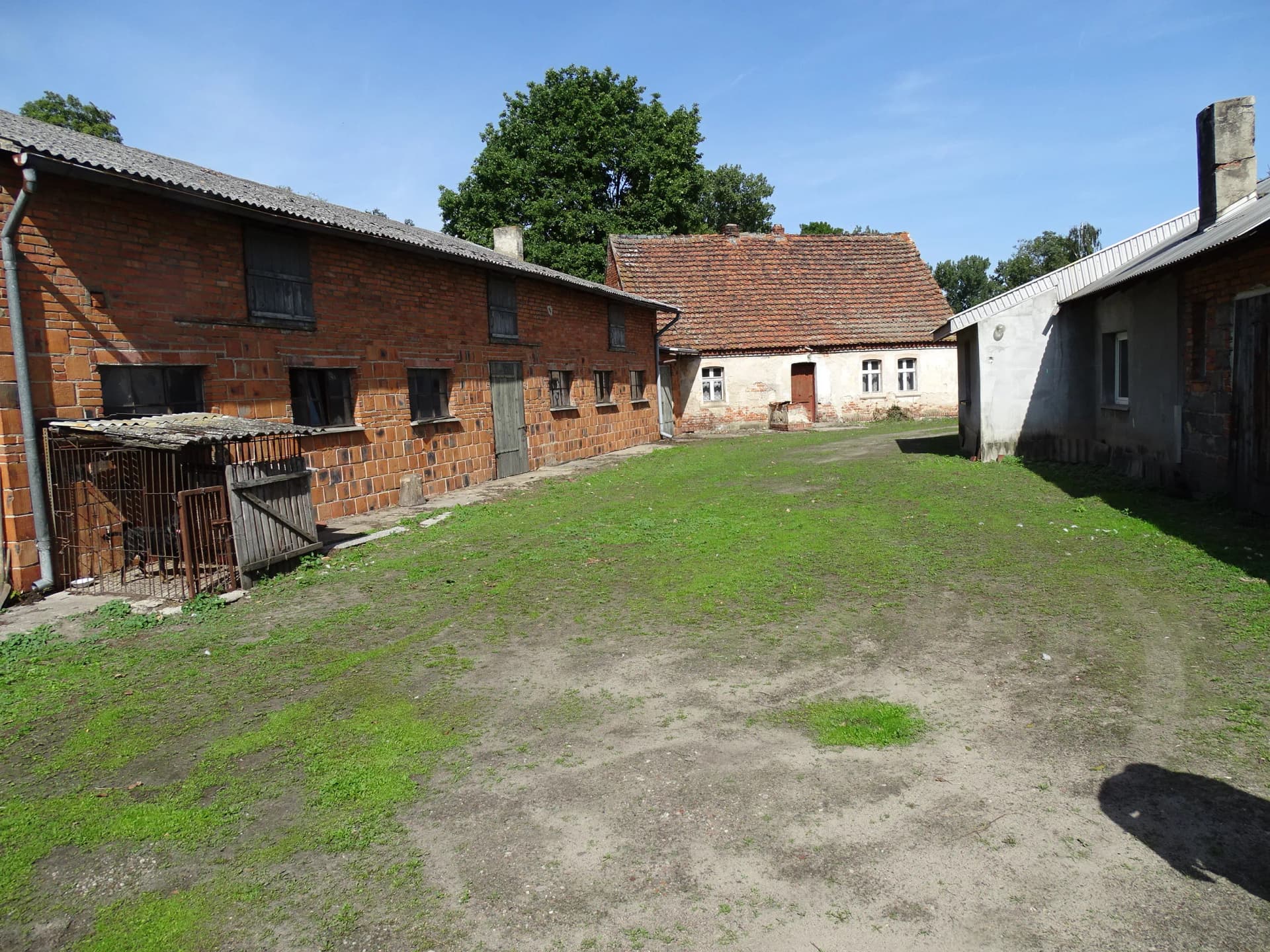 Zdjęcie 16