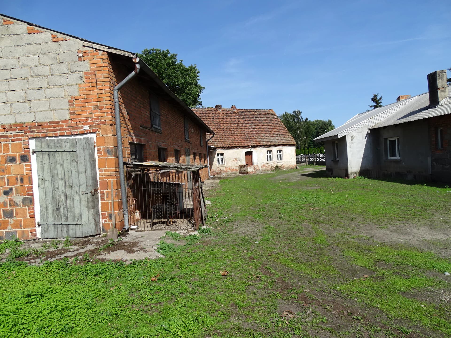 Zdjęcie 19