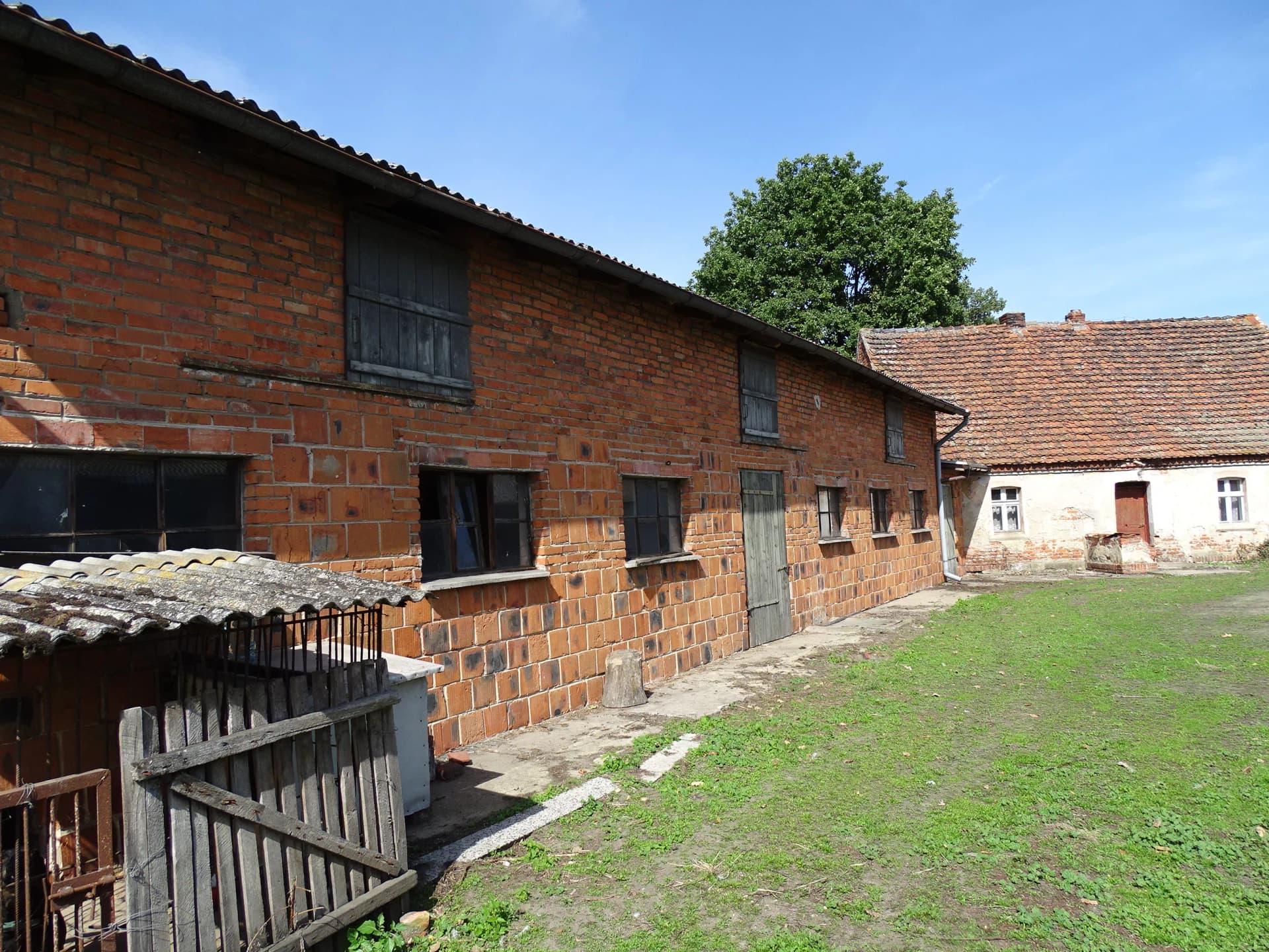 Zdjęcie 20