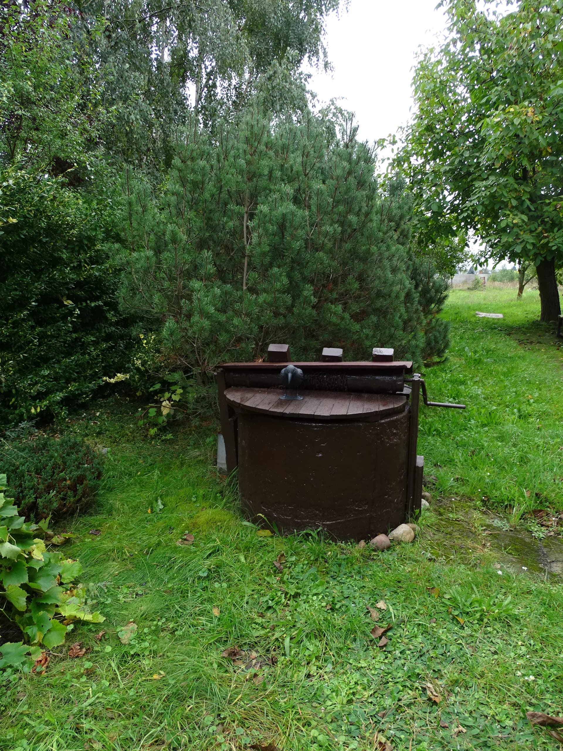 Zdjęcie 16