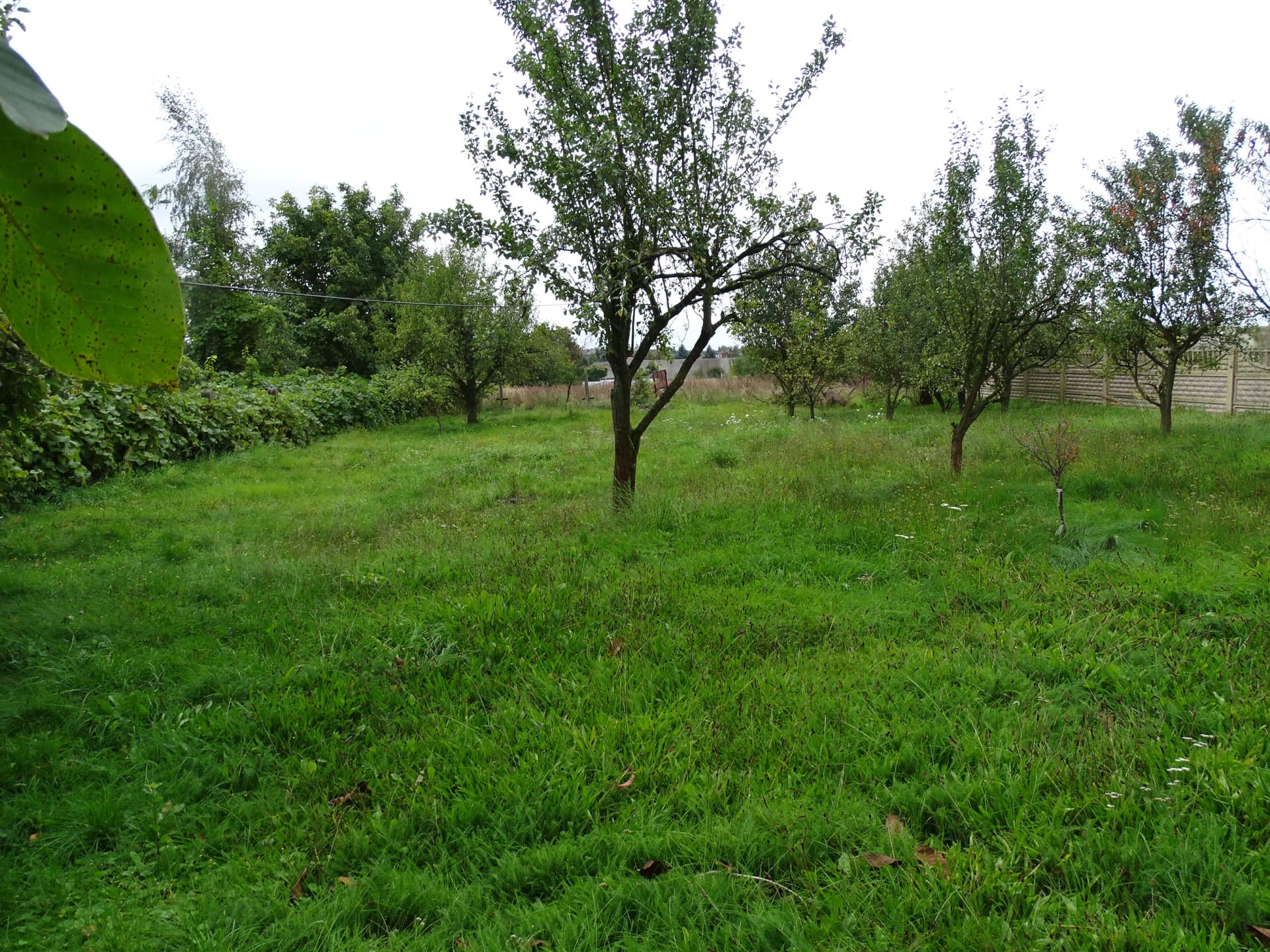 Zdjęcie 17
