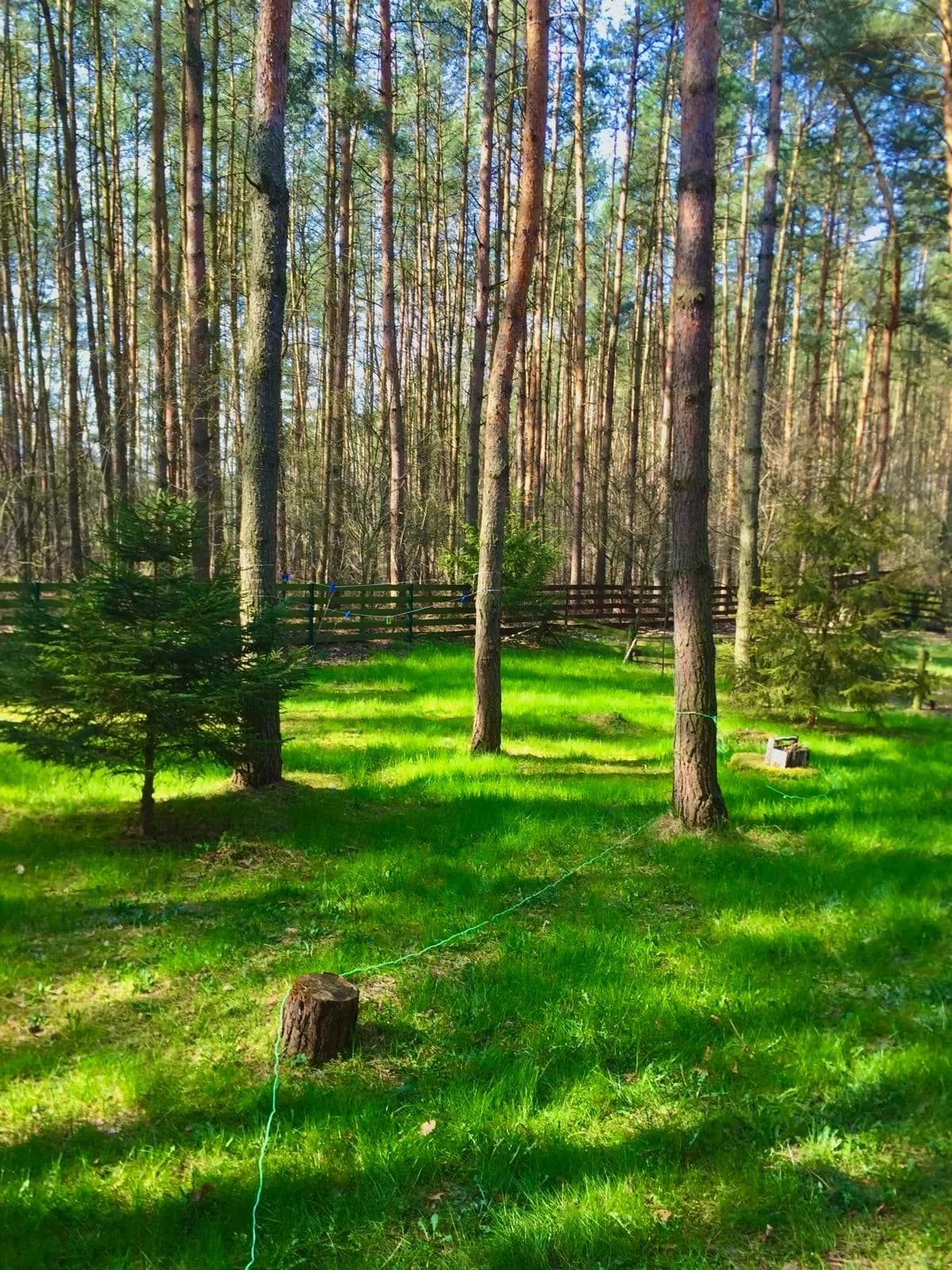 Zdjęcie 57