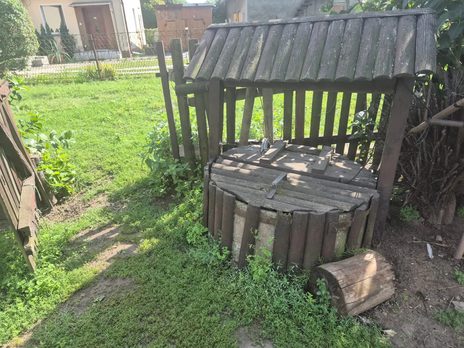 Zdjęcie 11