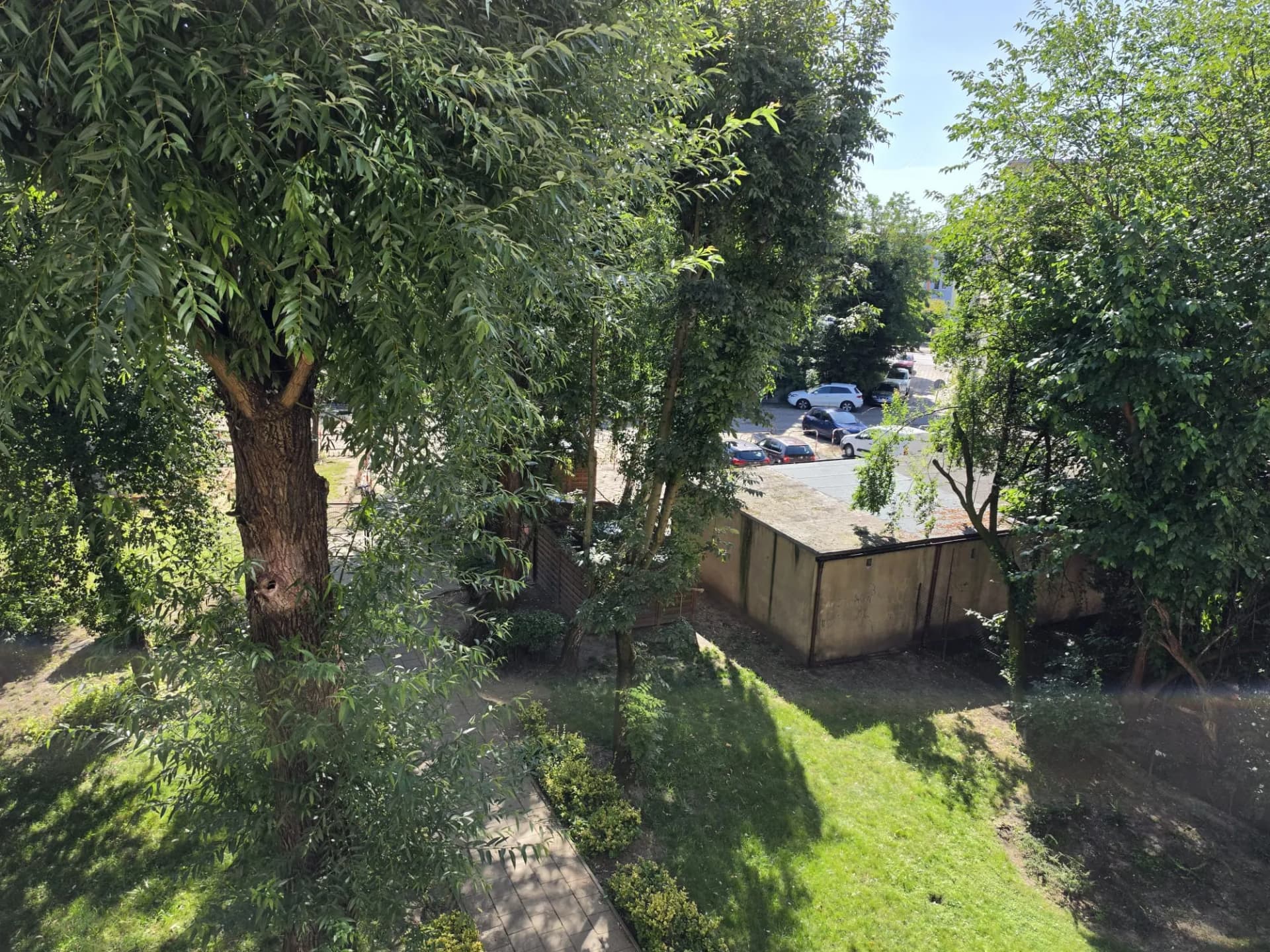 Zdjęcie 15