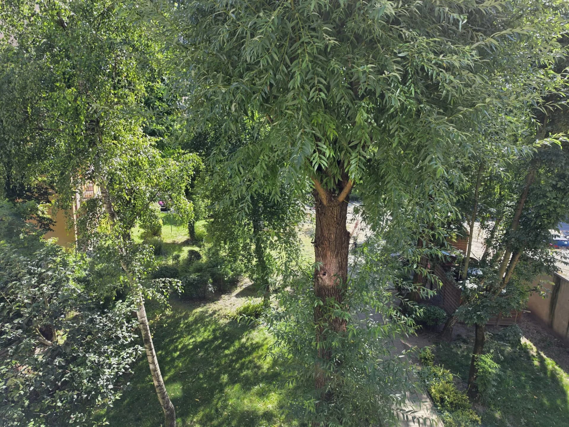 Zdjęcie 14