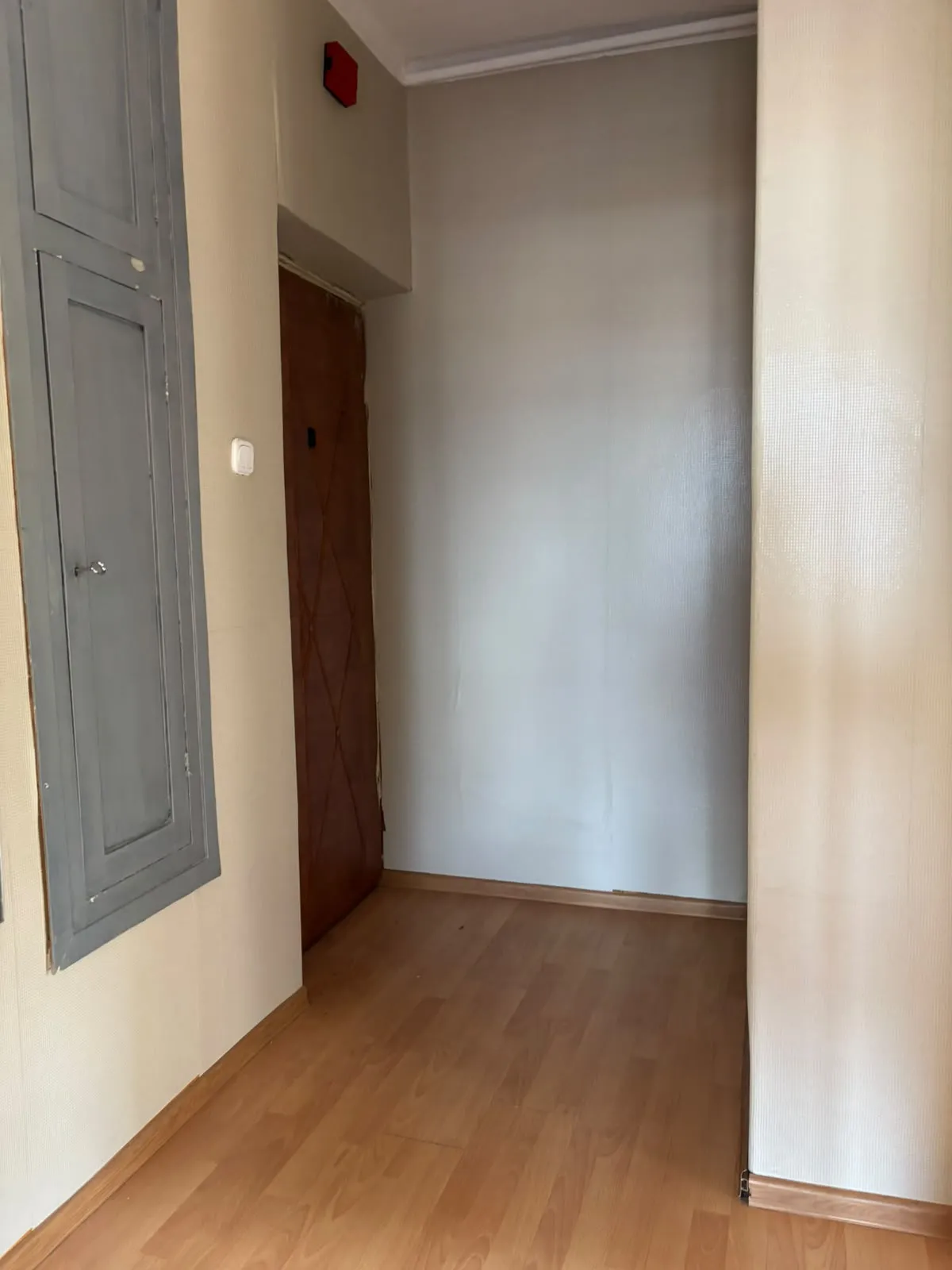 Zdjęcie 8