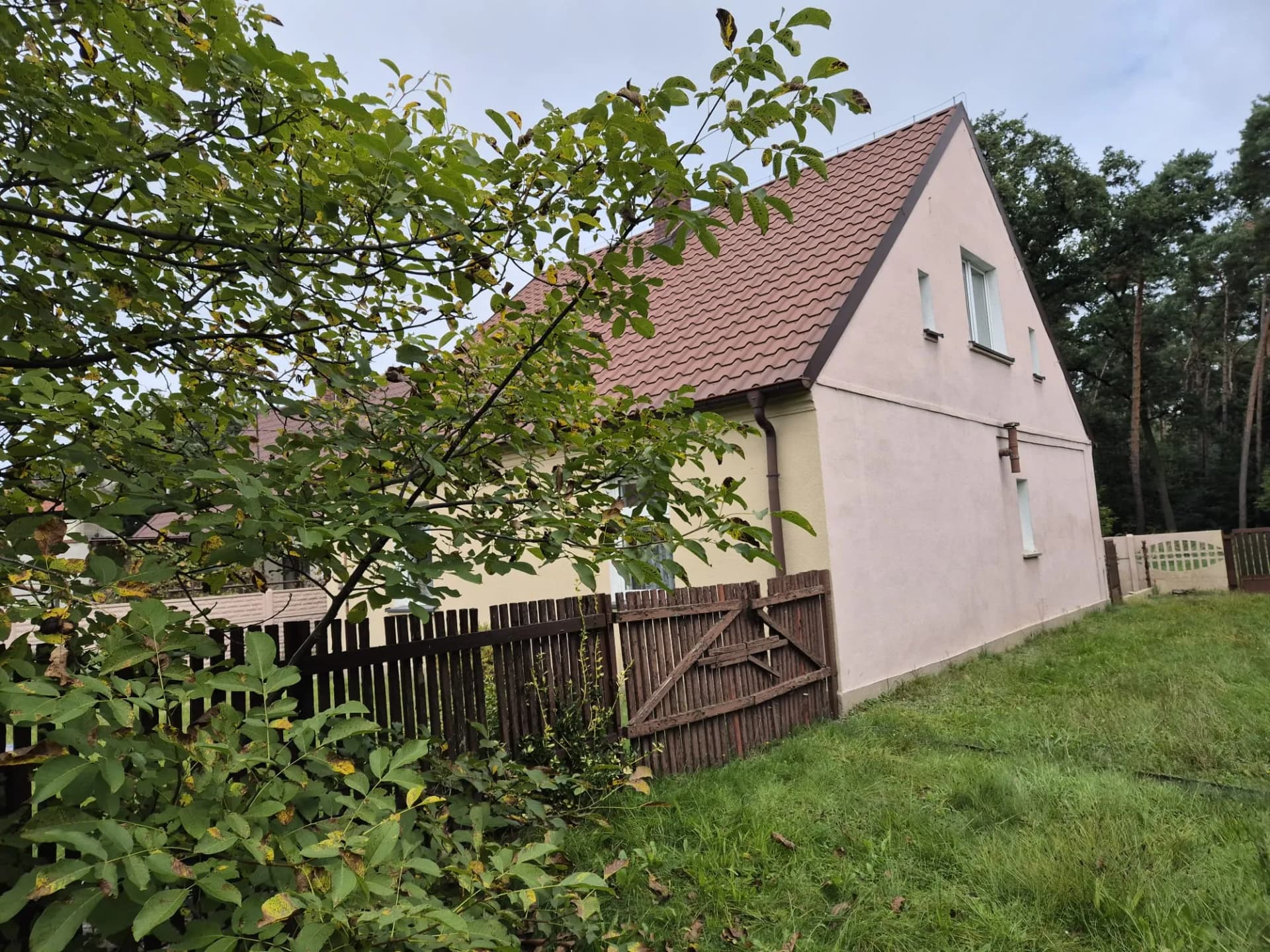 Zdjęcie 6