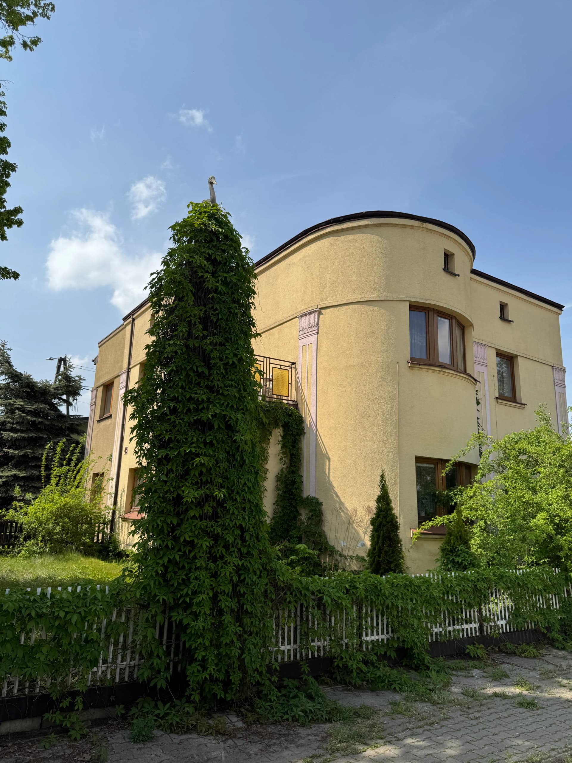 Zdjęcie 3