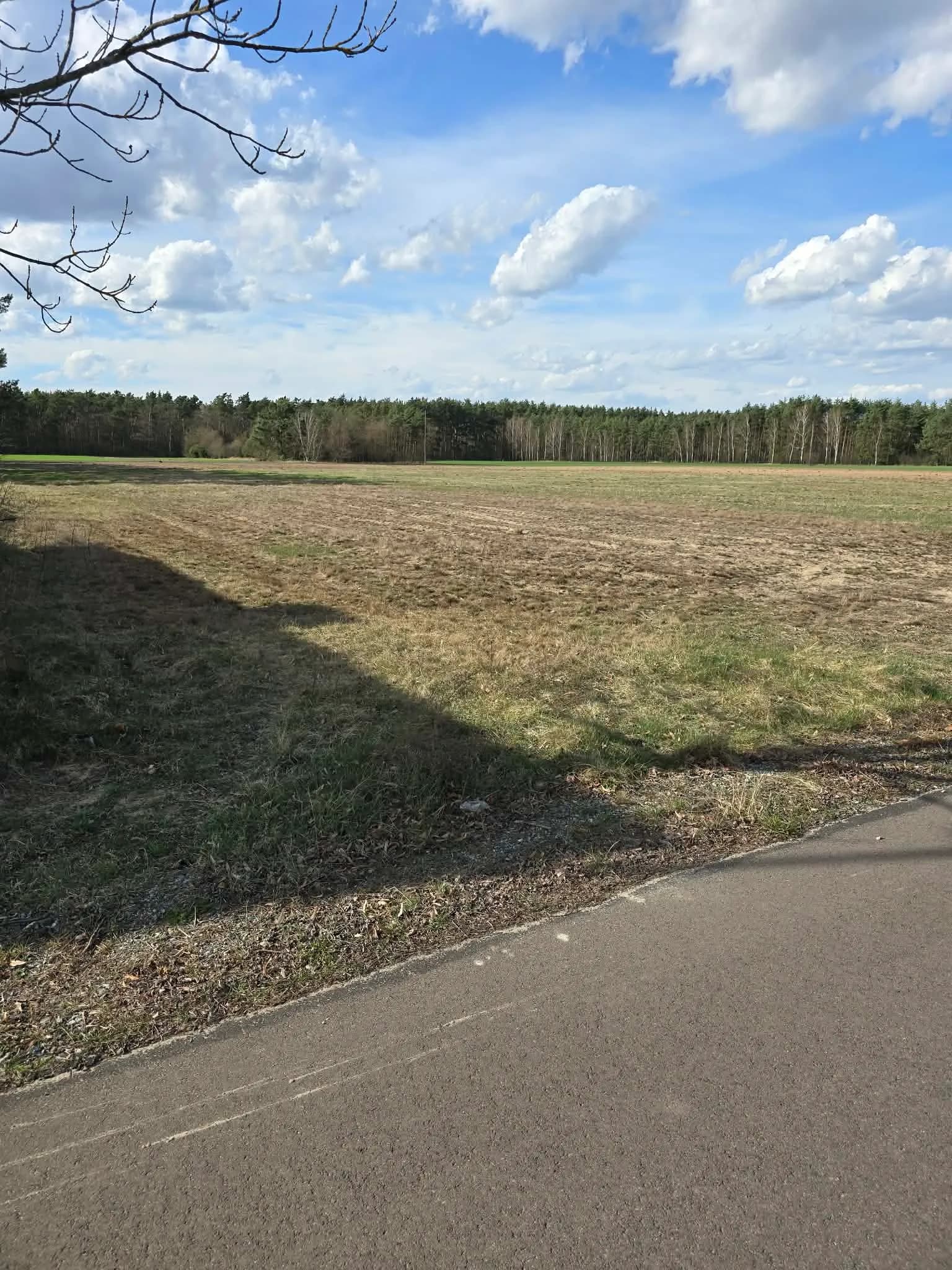 Zdjęcie 2