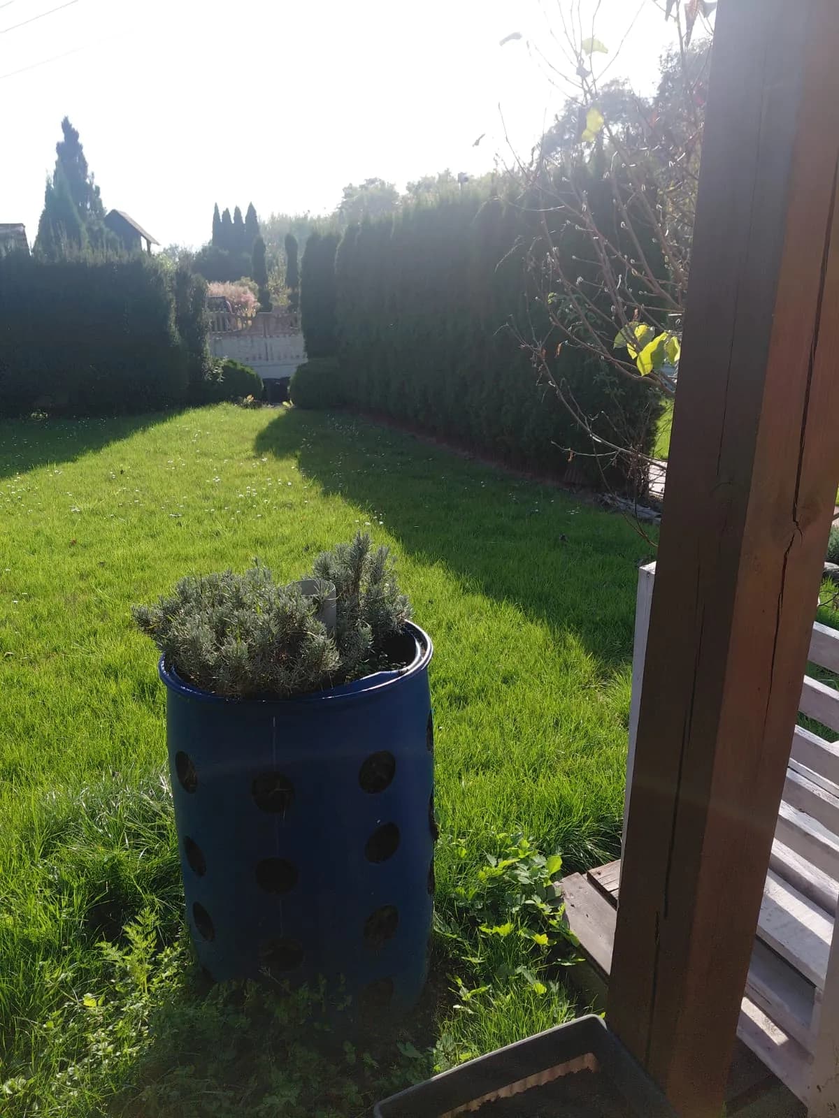 Zdjęcie 21